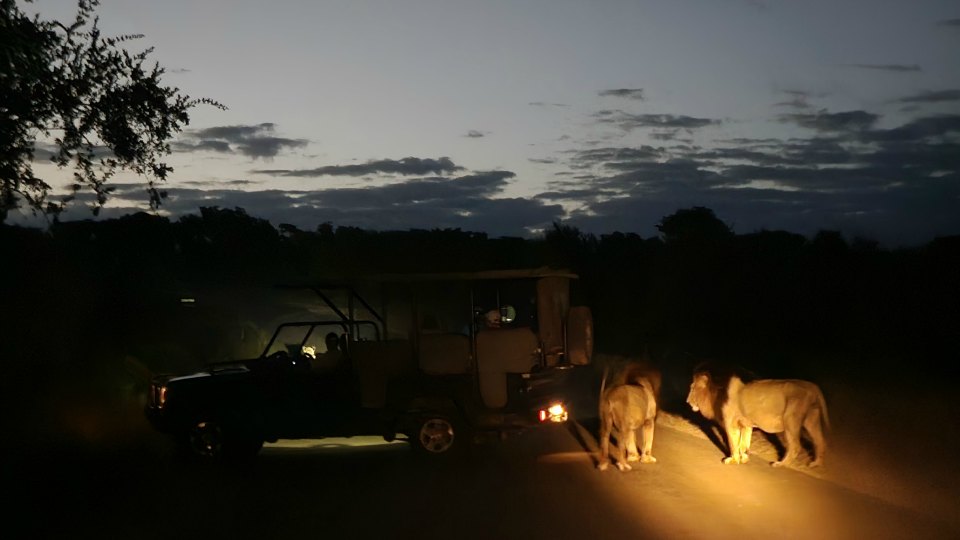 <h2>The Best of South Africa Escorted 2023</h2> 14 Nights | 6 Rounds | March 11 - 25